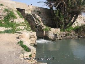 שמורת%20נחל%20תנינים%20,%20בית%20חנניה